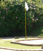 Flag - Tube Style