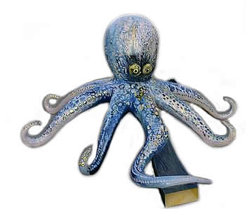 Octopus Obstacle