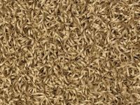 Minigolf Artificial Grass Playing Surface - Cream